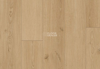 Parador Classic 1050 4V 1601445 Дуб Студийный Натуральный фото 2 | FLOORDEALER